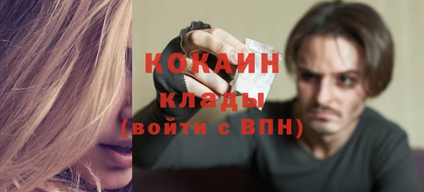 стафф Алексин