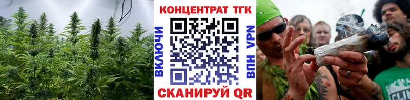 ТГК Wax  Сухиничи 