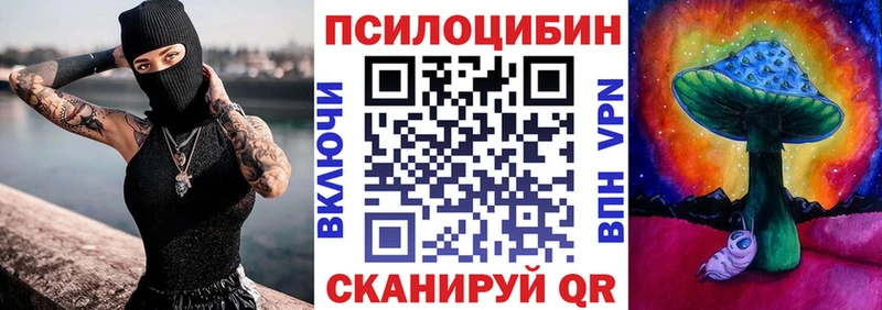 OMG как войти  Сухиничи  Галлюциногенные грибы мицелий  даркнет сайт 